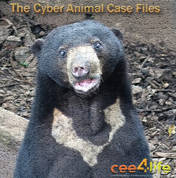 Cyber Animal3