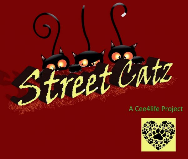 Street Catz 8