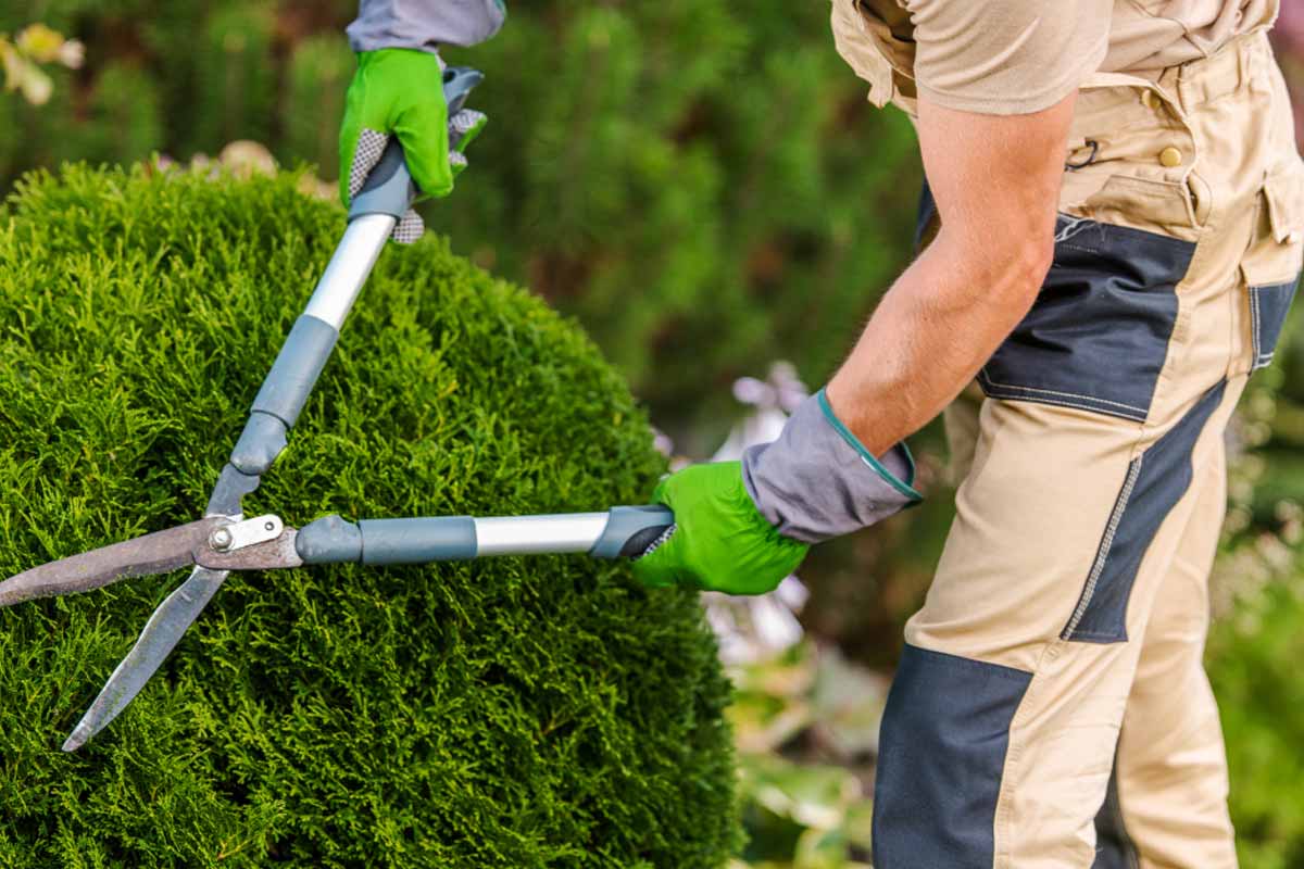 ban common landscaping equipment
