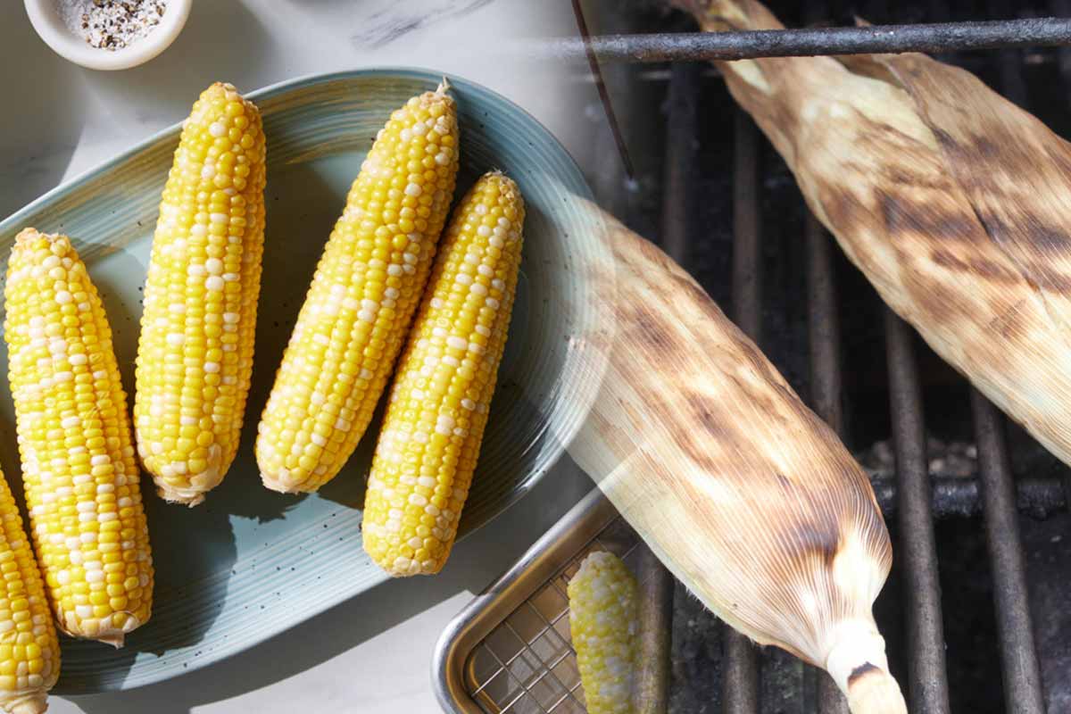 I Tested 6 Ways to Cook Corn on the Cob — and the Winning Method Was Unmistakable
