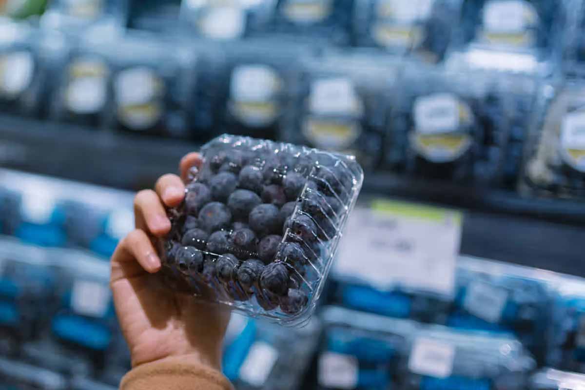 Blueberry Recall Warning as FDA Issues Most Severe Risk Level