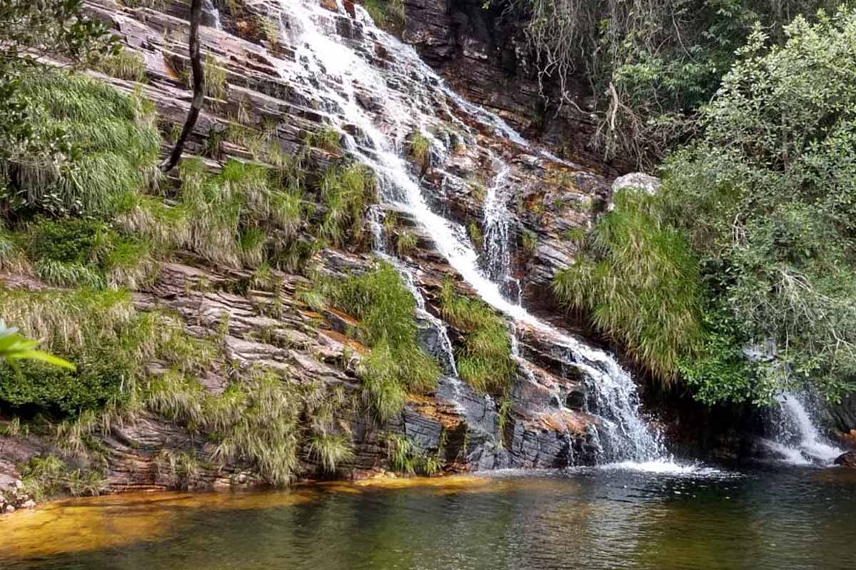 Scientists capture first-ever footage of elusive fish climbing waterfalls: "These findings highlight the importance of field observations"