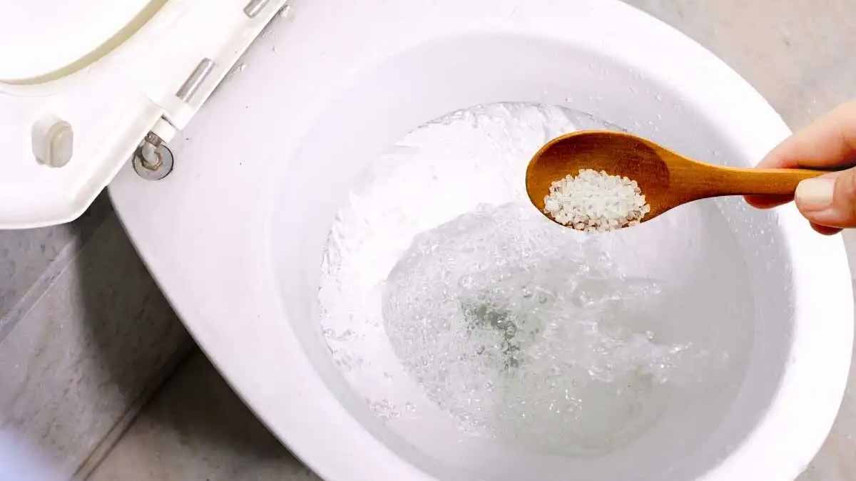 coarse salt in the toilet