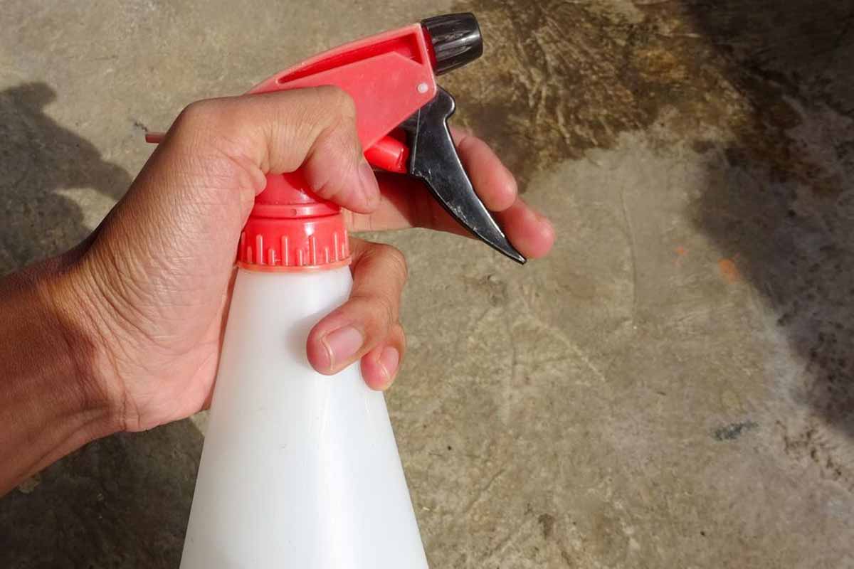 Gardeners warned to spray patios and paths with vinegar until November — and it’s not as strange as it sounds