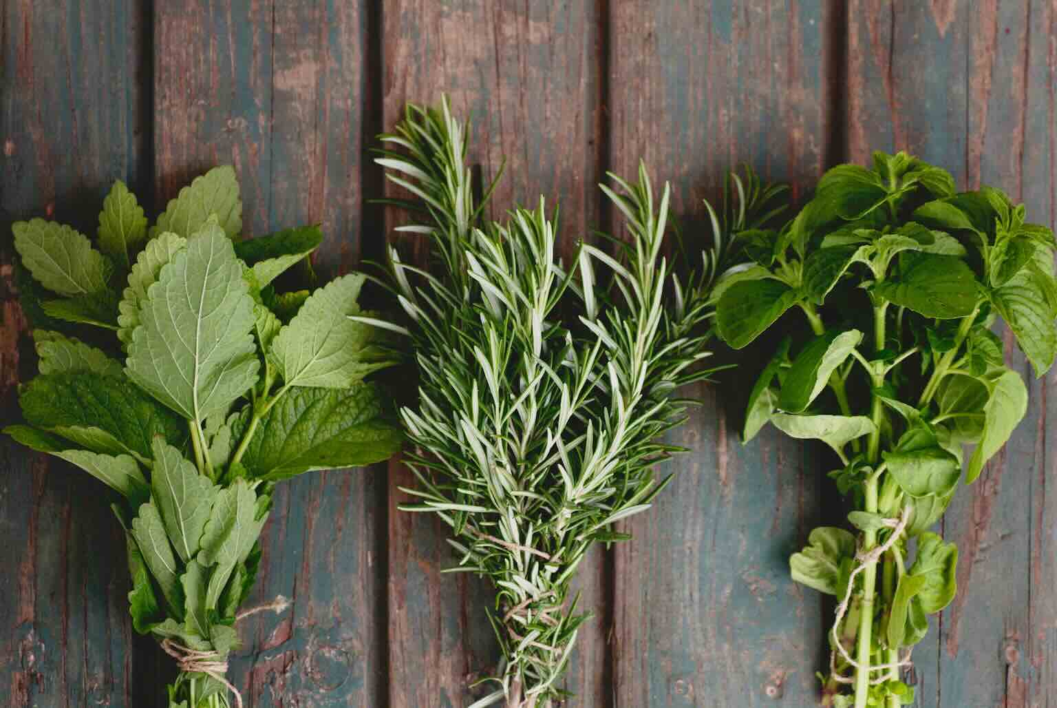 Rosemary