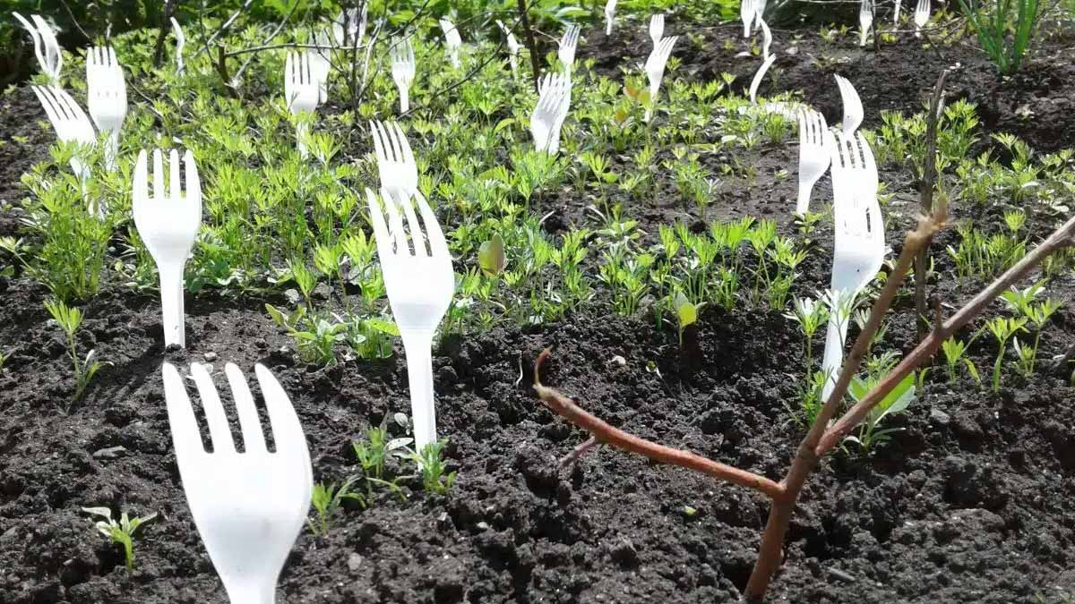 plastic forks in garden