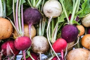 vegetables to plant september